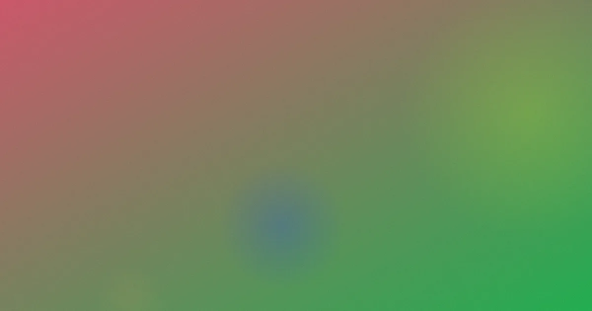 功夫小子测评：避坑问答